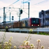ナズナと電車 Ⅱ