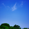 暑い夏の日の朝
