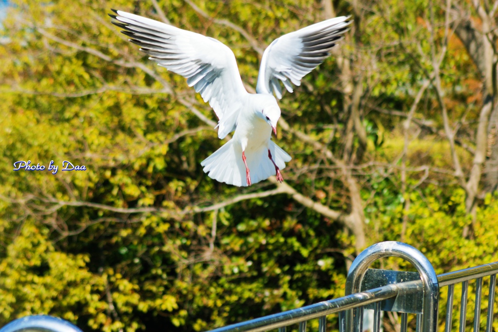 着地点確認