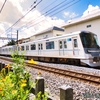 東京メトロ13000系とキバナコスモス