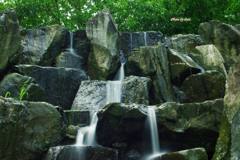 公園の滝（その１）