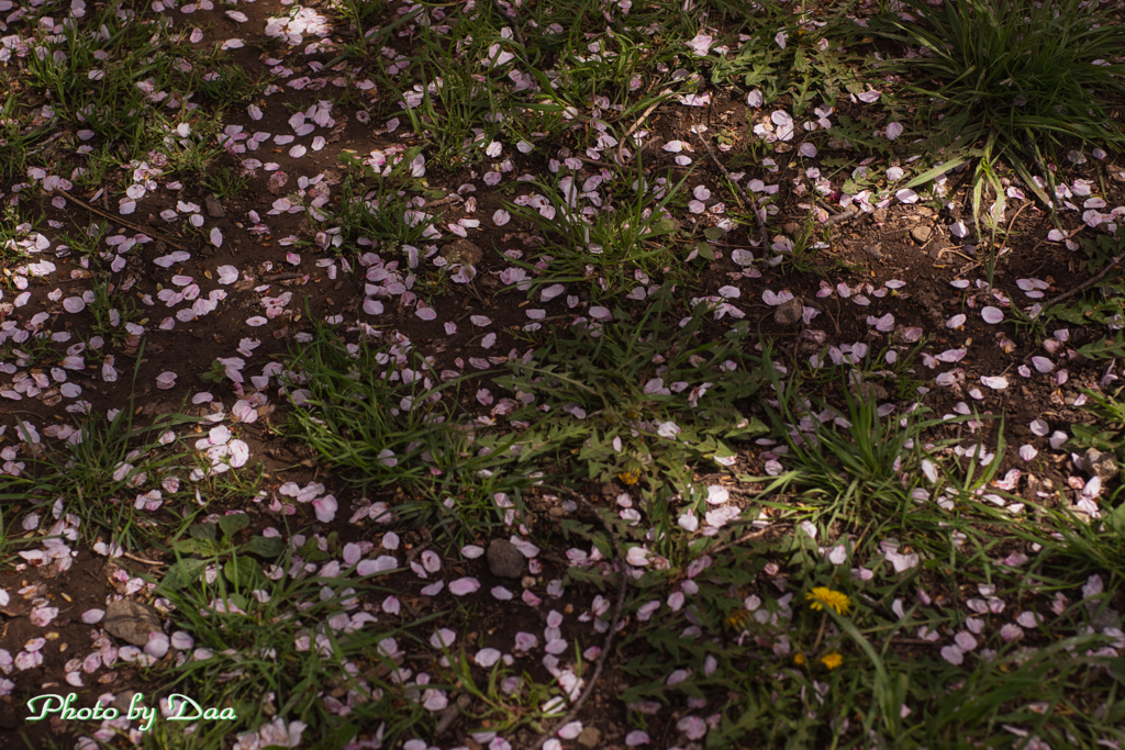 兵どもが夢の跡