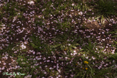 兵どもが夢の跡