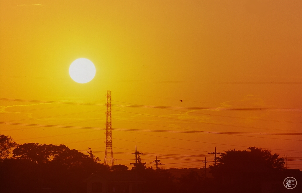 夕日