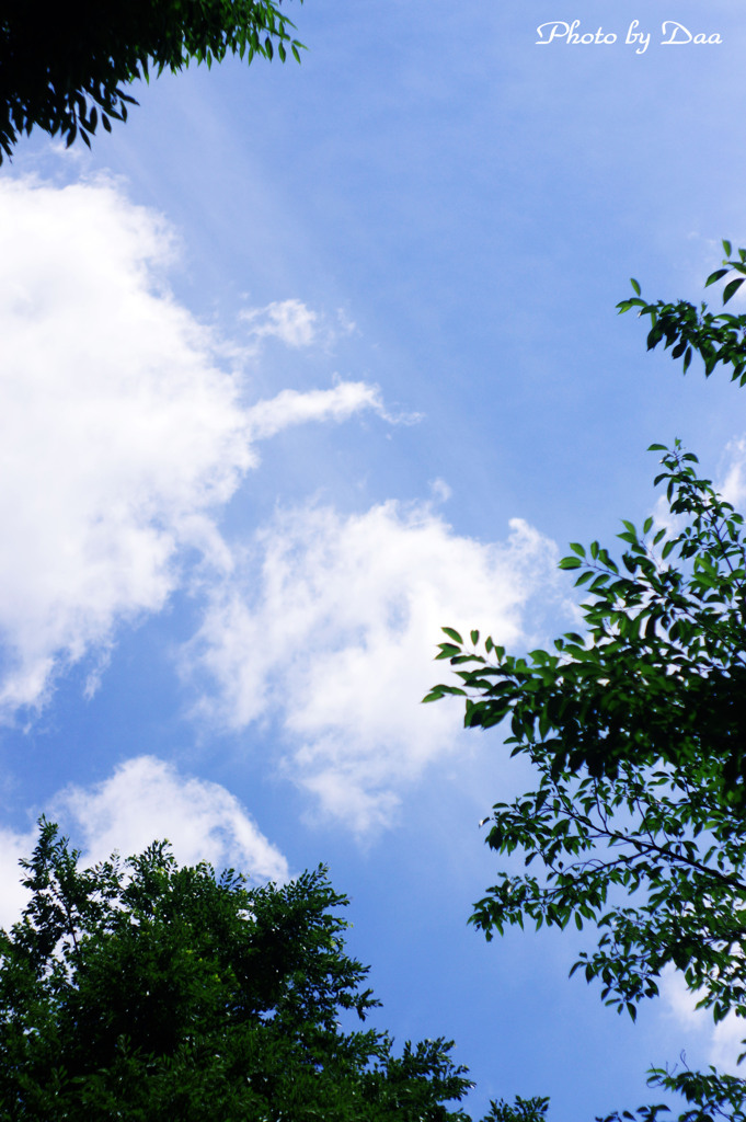 初夏