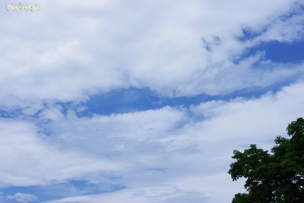 梅雨の間に間に