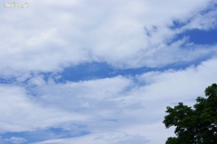 梅雨の間に間に