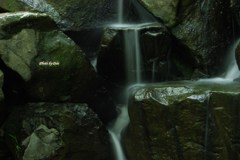 公園の滝（その２）