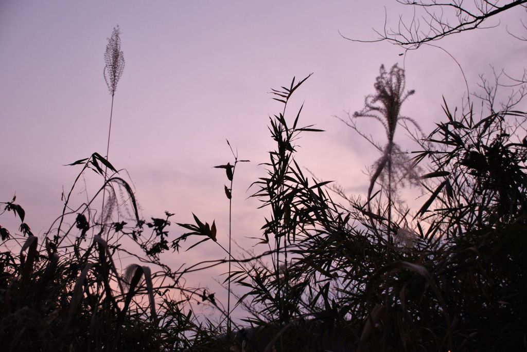 自宅近くの夕日２