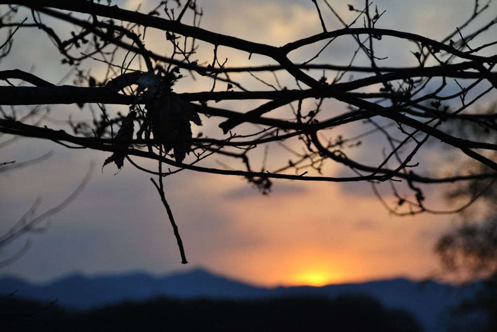 自宅近くの夕日３