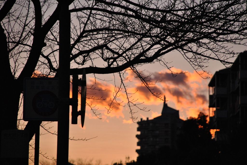 自宅近くの夕日１