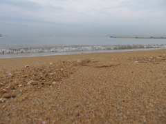 博多湾の海岸