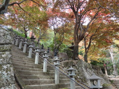 神奈川大山