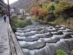 箱根湯本付近の川沿い　紅葉