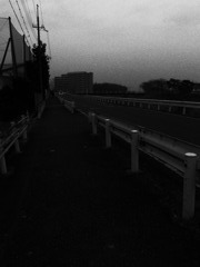RIMG0096