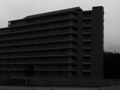 RIMG0089