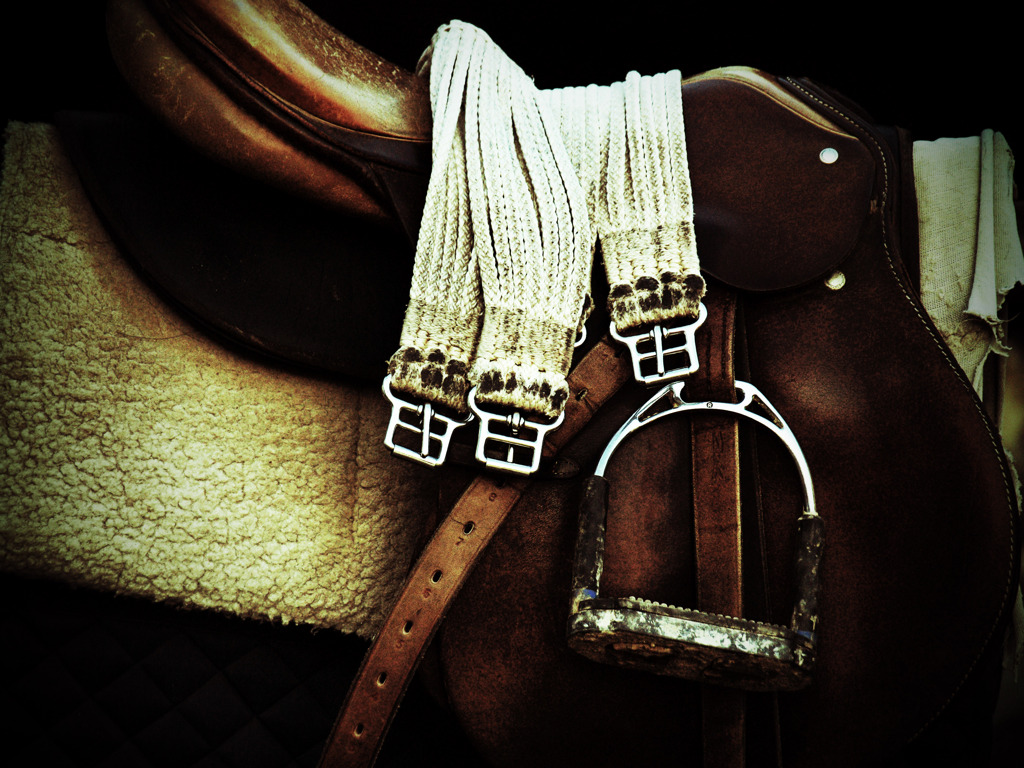saddle