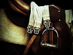 saddle
