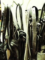 bridle