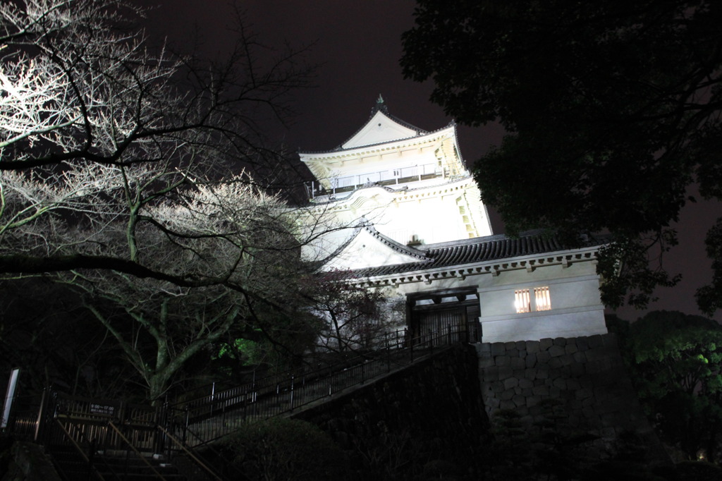 輝く城