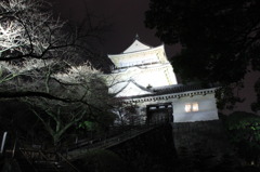 輝く城