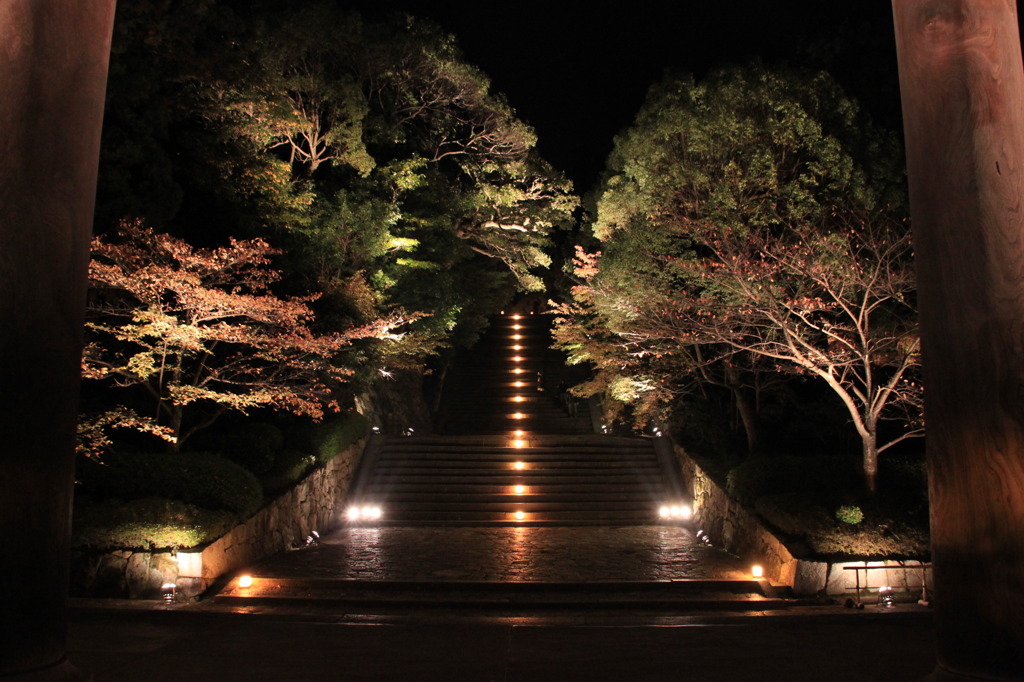 額縁の道