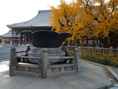 黄色い噴水