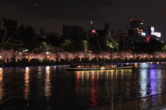 夜の中之島公園