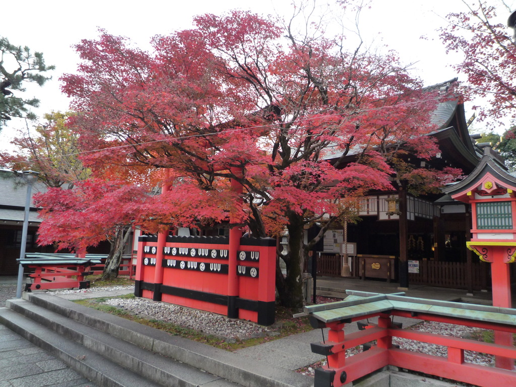 真っ赤に染まる神社