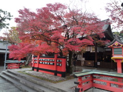 真っ赤に染まる神社