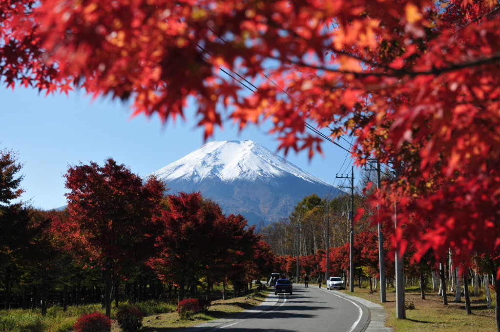 紅葉と富士