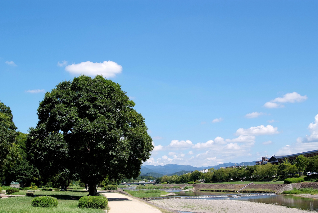 鴨川_2012夏