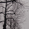 雪