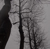 雪