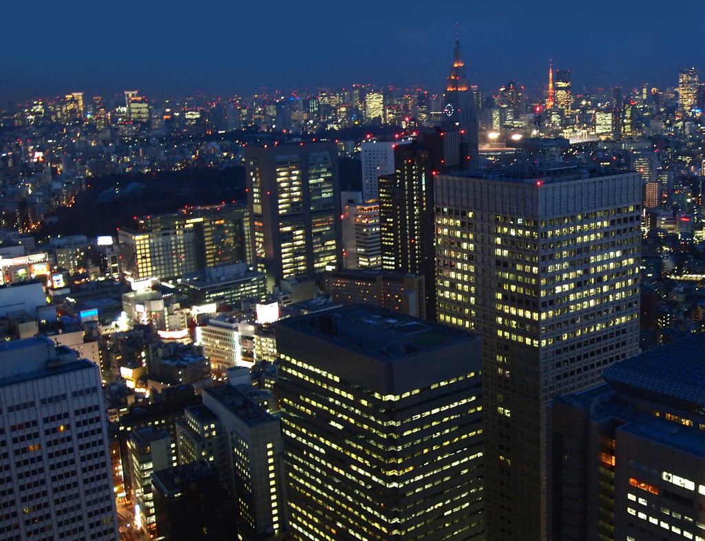 夜景