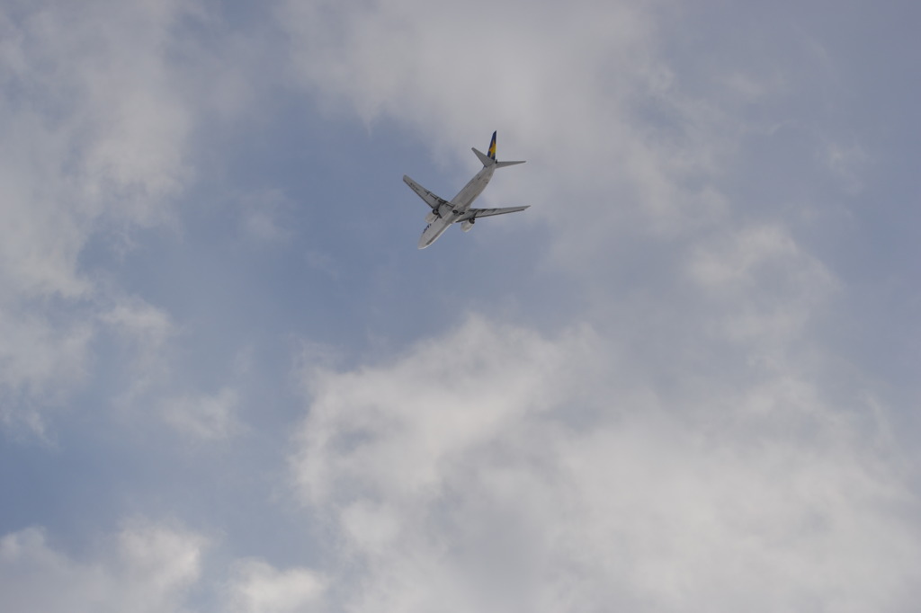 飛行機