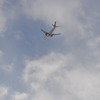 飛行機