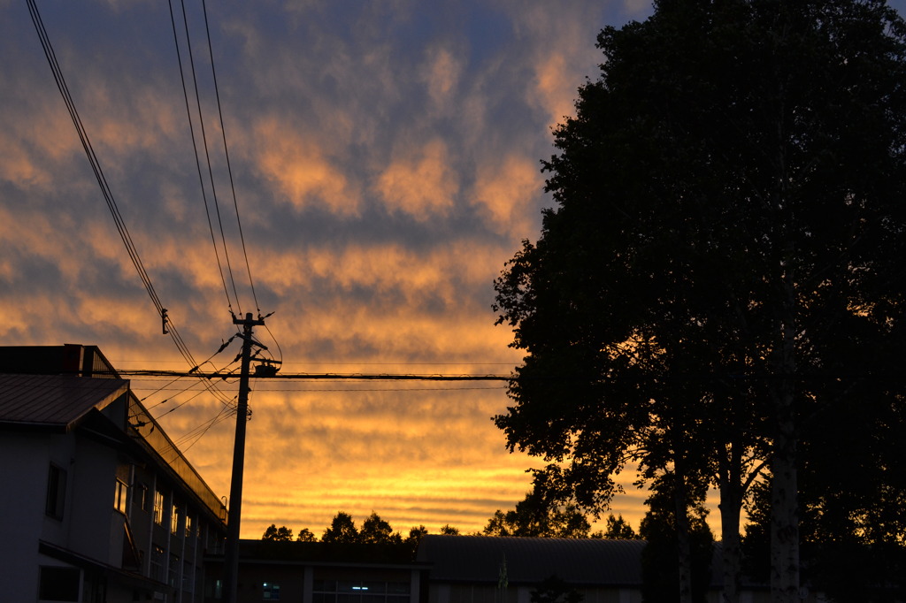 ある日の夕日