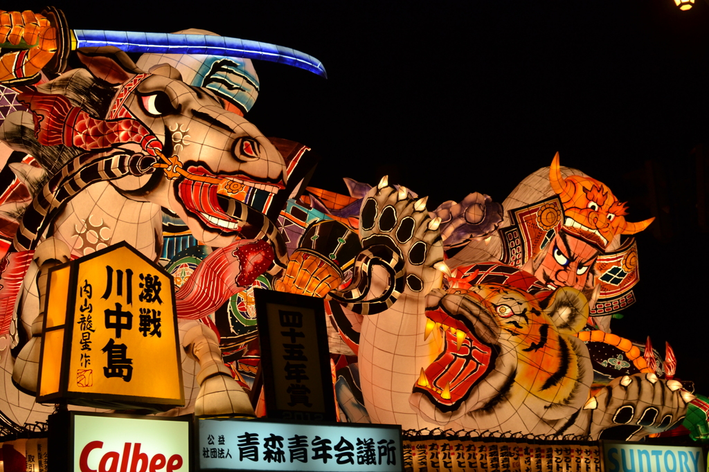 DSC_0504