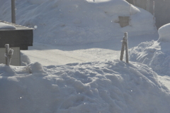 昨日は-18℃でした。