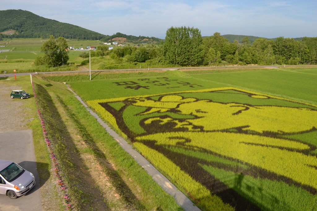 田んぼアート②