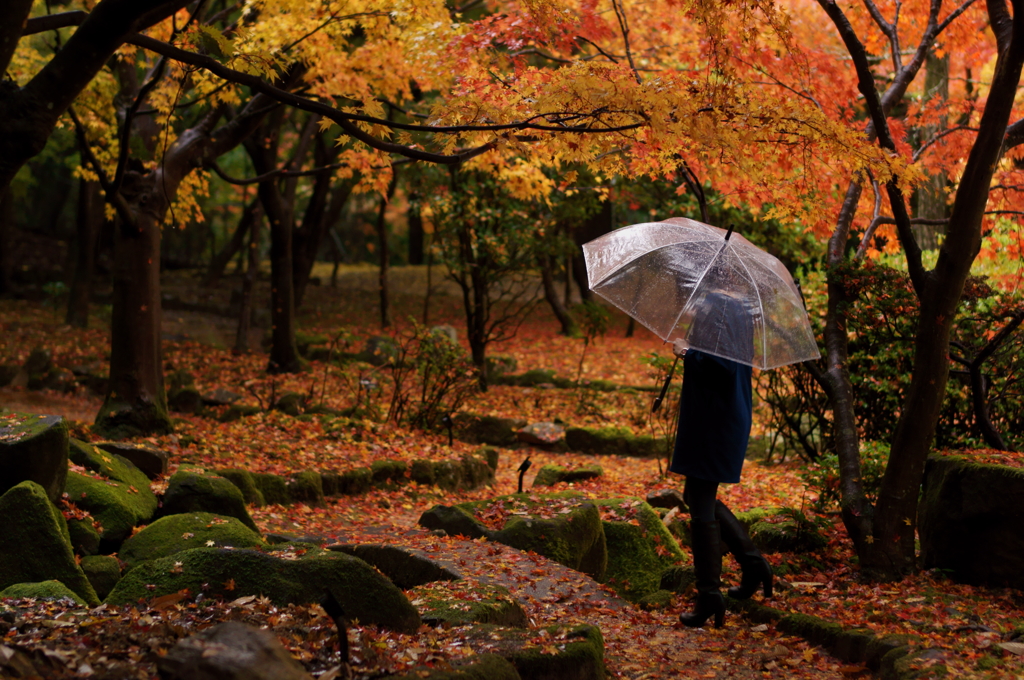 雨歌を聞きながら