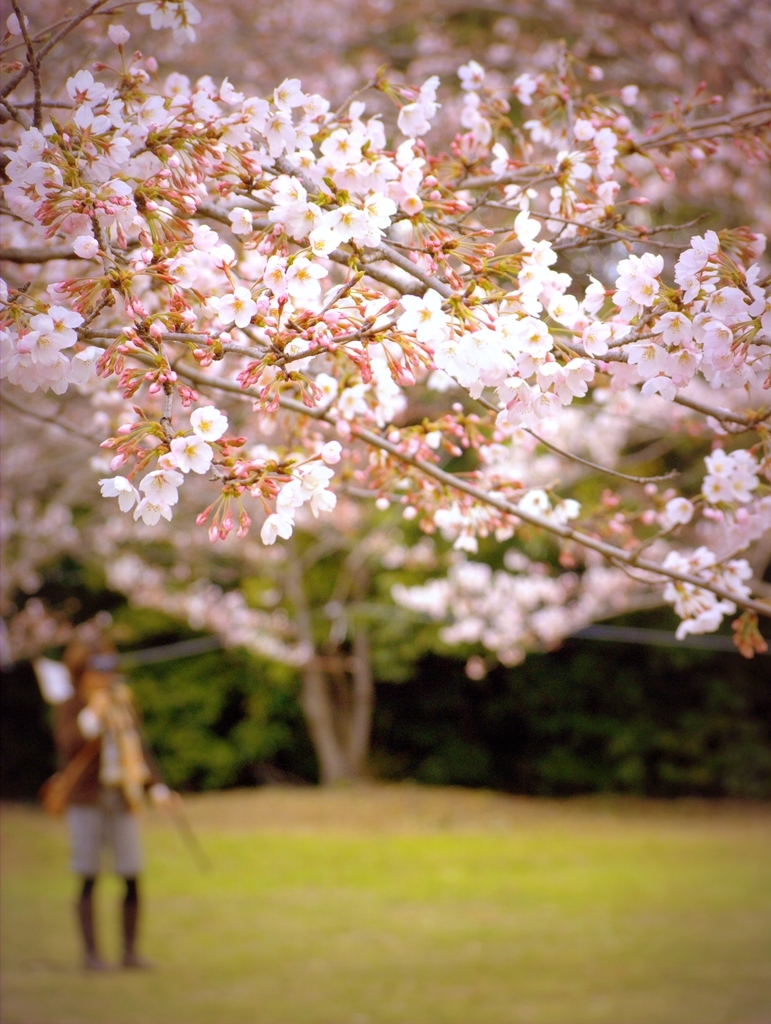 桜子さん。