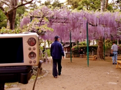 明石 住吉神社にて