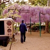 明石 住吉神社にて