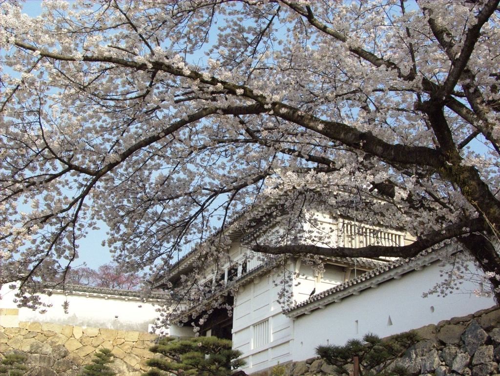 姫路城　菱の門