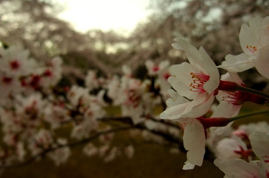 宮山古墳公園にて