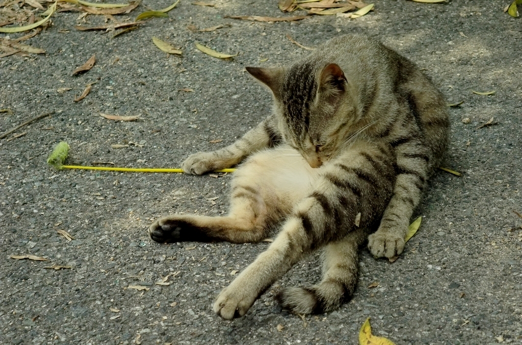 死んでも離さぬ