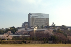 天空の白鷺