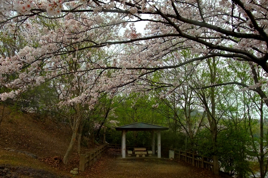 宮山古墳で撮影　休憩所